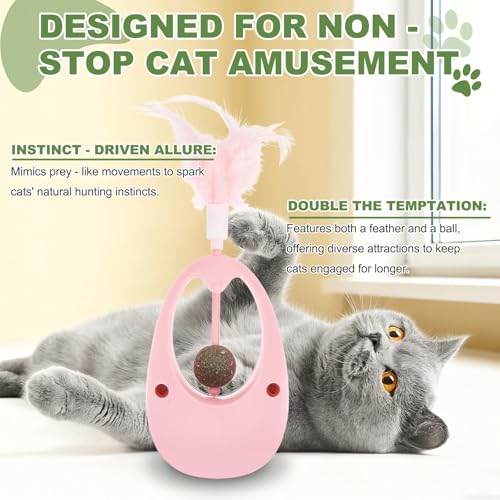 Balle d'herbe à chat interactive rose avec plume pour chaton en intérieur