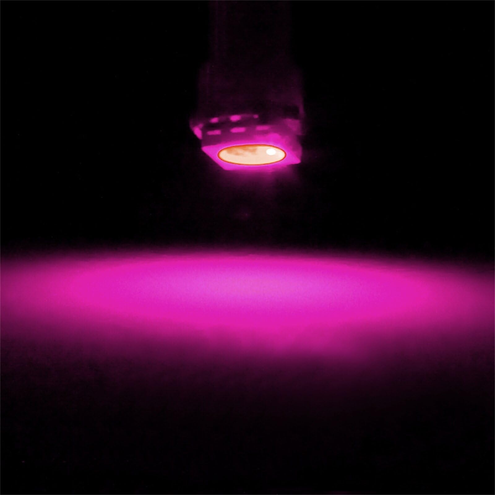 ECCPP Instrument Cluster Dash Panel Lights with Twist Lock Socket T5-1-5050-SMD-Pink T5-Twist Lock 17, 18, 27, 37, 58, 70, 73, 74, 79, 85, 86, 206, 207, 286, 306, 307, 308, 406, 407 2721