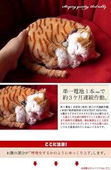 Amazon.co.jp: ニニアンドキノ パーフェクトペット (小サイズ