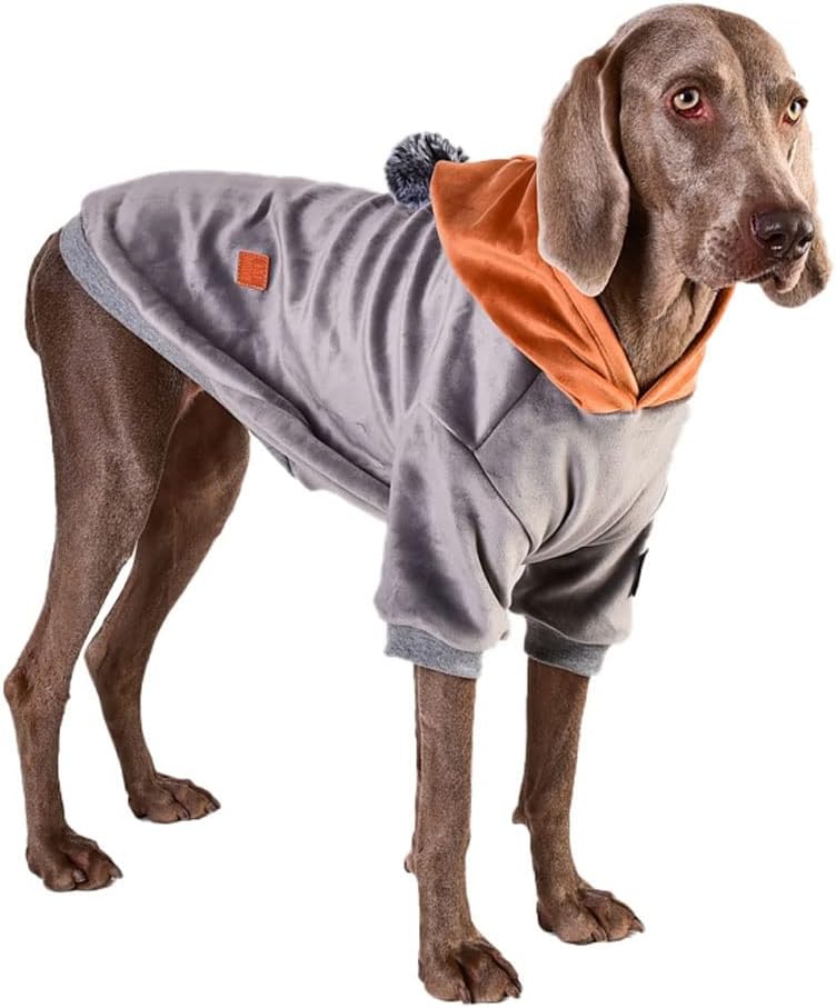 dog shedding sweater