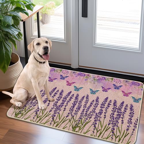 Door Mat-Non-Slip Rubber Back Welcome Mat for Front Door,Indoor Outdoor Entryway,Durable & Absorbent Low Profile Doormat for Home Entrance,Lavender 17x30 in