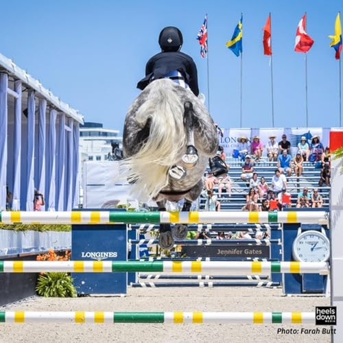 Horse Show Hacks For The Win cover art
