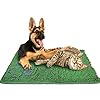 PAWPAWPAL Luxurious Dog Bed Mat