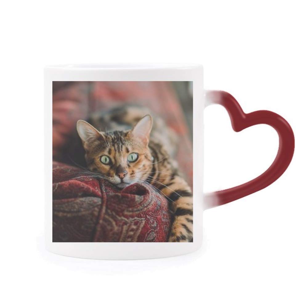 Taza de ojo de gato verde el regalo perfecto de San Valentín