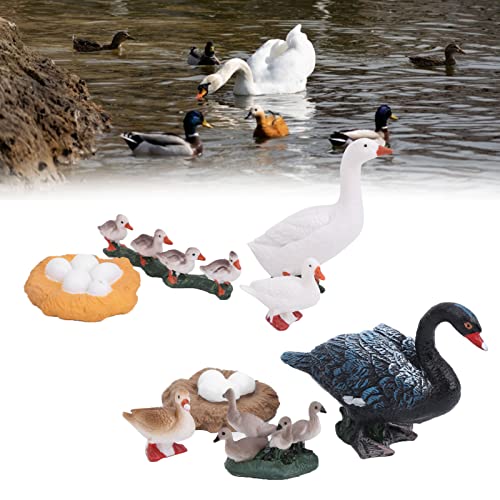 ALKqiang Ente Tier Lebensdauer Zyklus Bauernhof Tiere Figuren Lebensdauer Zyklus ABS Material Hand Malerei Tier Figuren… – Bild 4