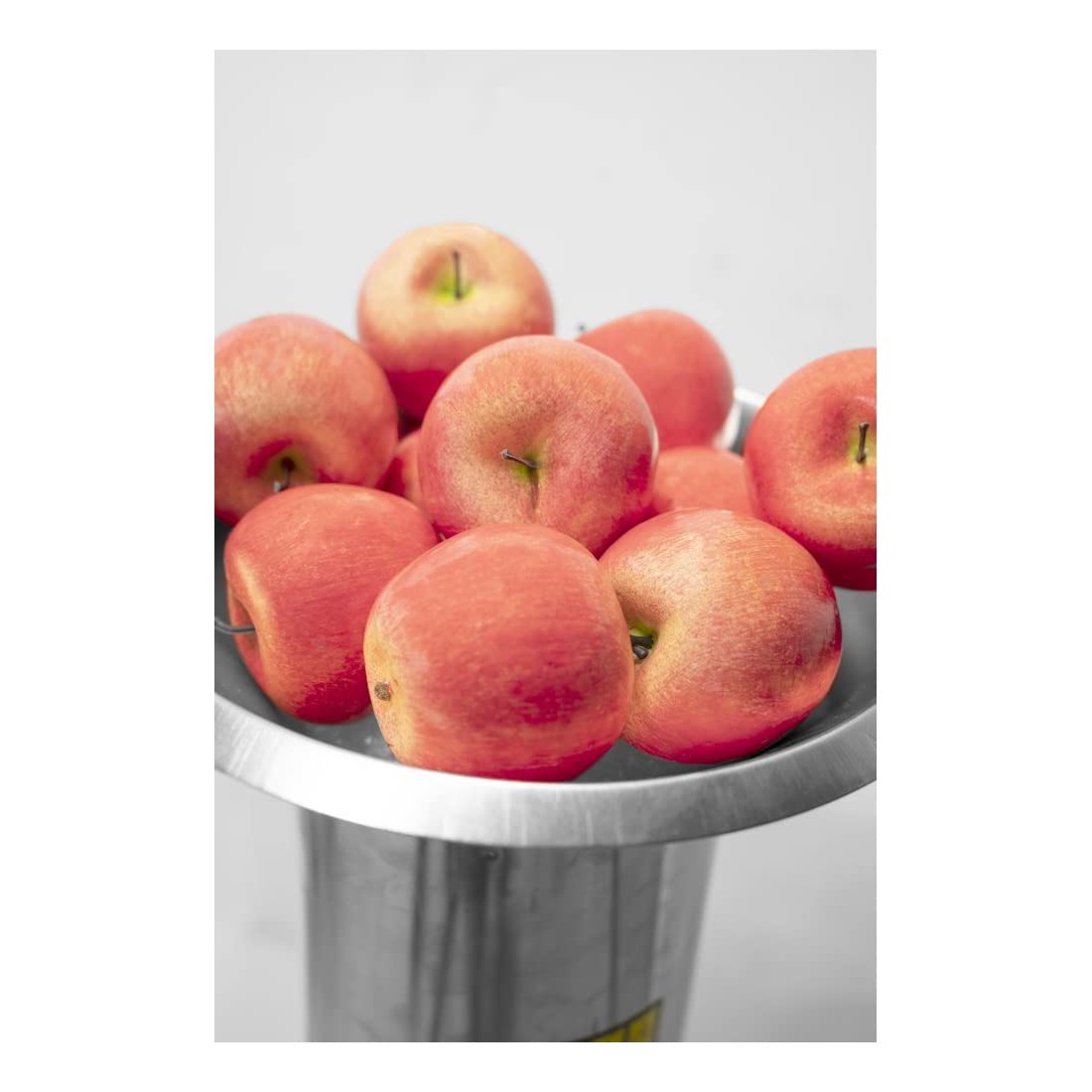 Güde Obsthäcksler GOH 1500 - 1100 Watt Obstmühle Aus Edelstahl