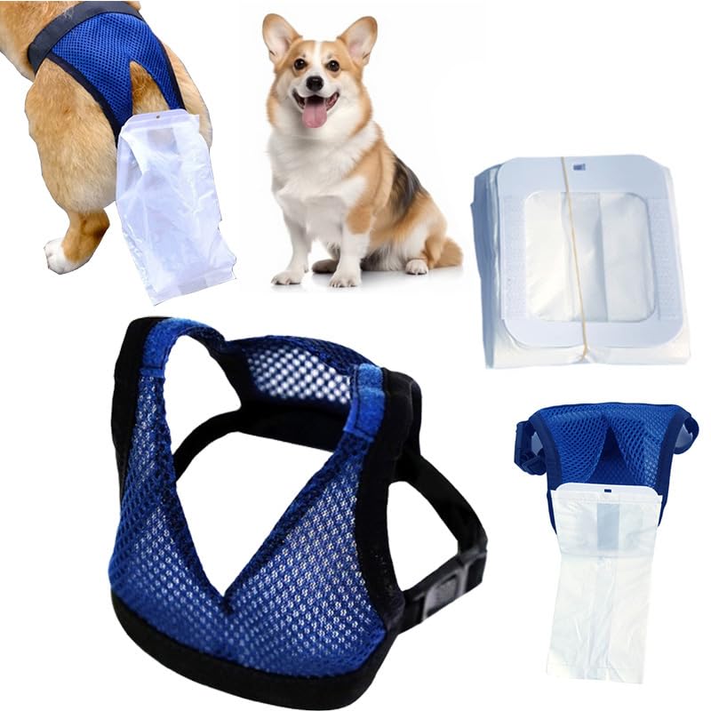 Amazon | うんち キャッチ 犬 シニア犬用排泄物収集パンツ 小型犬