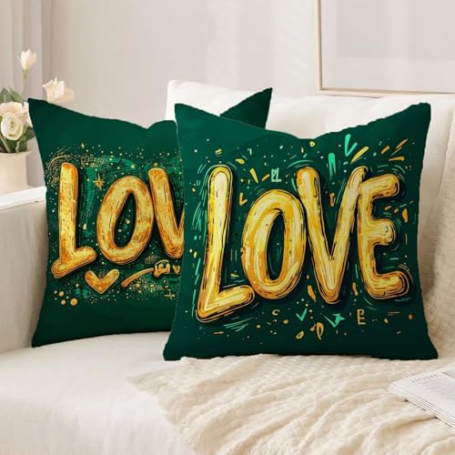 Housse coussin 65x65cm taie oreiller vert salon lot de 2
