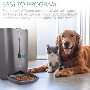 Distributore Automatico Cibo Gatti IMIPAW - Timer Programmabile, 3L, Fino A 6 Pasti Giorno, Doppia Alimentazione