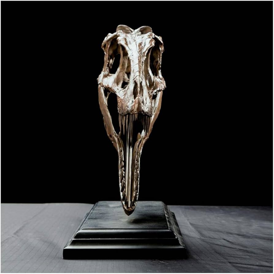 Amazon.co.jp: ティラノサウルス レックスの頭蓋骨 - 恐竜の