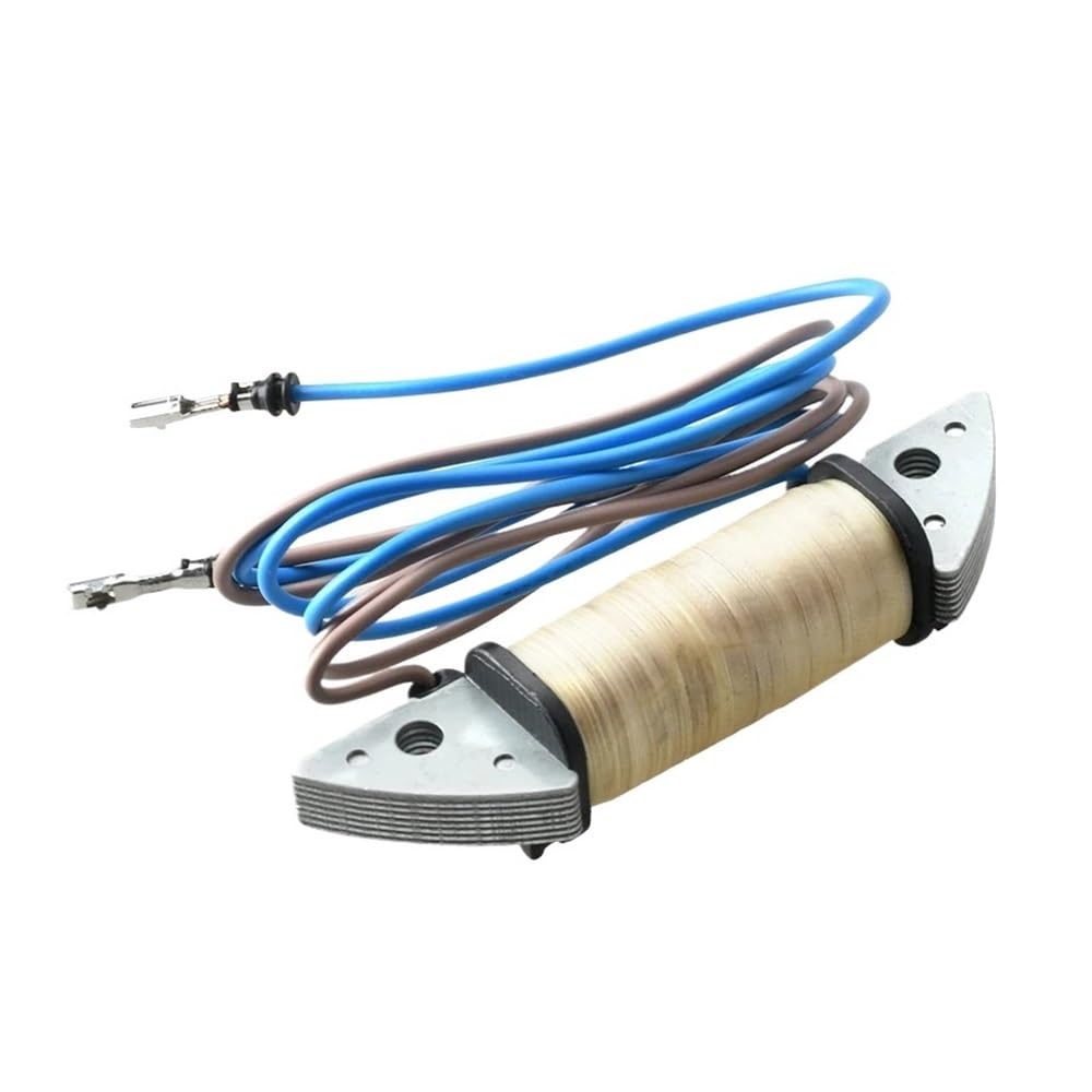 Bobine de chargeur 40 CV haute performance pour allumage stable de moteur de bateau 6H9