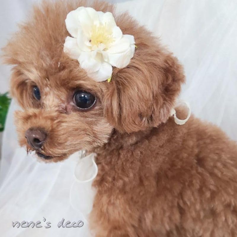 Amazon | [オメカシペット] 犬 ヘアアクセ 花 犬服 飾り 全犬種