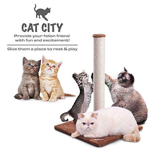 Fluffy Paws – Cat Scratching Post With Cat Toy | 25" H Scratching Post Includes Spring Toy To Amuse Your Kitty | Keeps Cats Claws Busy, Saving Your Furniture | 16 X 16 Base, White/Beige #TOP1