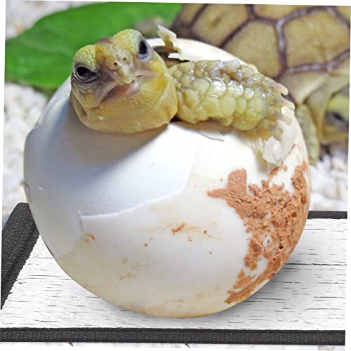 3Pcs Colchoneta Térmica para Reptiles con Aislamiento miniatura 6