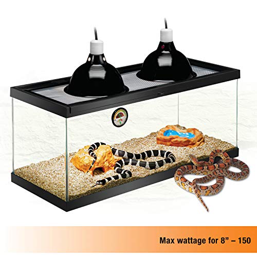 Upgraded Deluxe Bearded Dragon Kit Terrarium Zilla