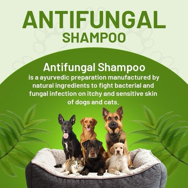 Canophilia Antifungal Pet Shampoo for Dogs & Cats (300 ml) | with Aloe Vera, Neem & Rose Extract | Helps Control Skin Infections, Itching & Odor | Gentle & Safe Formula 4