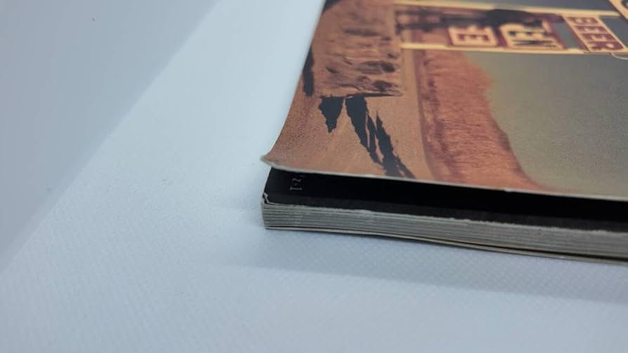 Amazon.co.jp: B'z LIVE GYM 1994 The 9th Blues ツアー