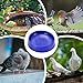 Pigeon Hatching Nest - Bird Breeding Bowl with 3 Mats, Ventilated Aviary Supplies | Quail Pet Parakeet Parrot Canary Chicken Cage Garden Home Poultry Breeding Equipment Accessory