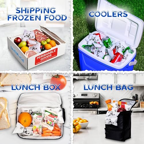 Dry Ice Packs for Shipping - Long Lasting ice Packs - 24+ Hour Freeze Power - BPA Free - 12 Pack Bulk 3 lb – Hielo Seco - Reusable Gel Bricks for Food