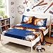 SDIII 3PC Baseball Bed Sheets Twin Size Sport Bedding Sheet Sets with Flat Fitted Sheet for Boys, Girls and Teens