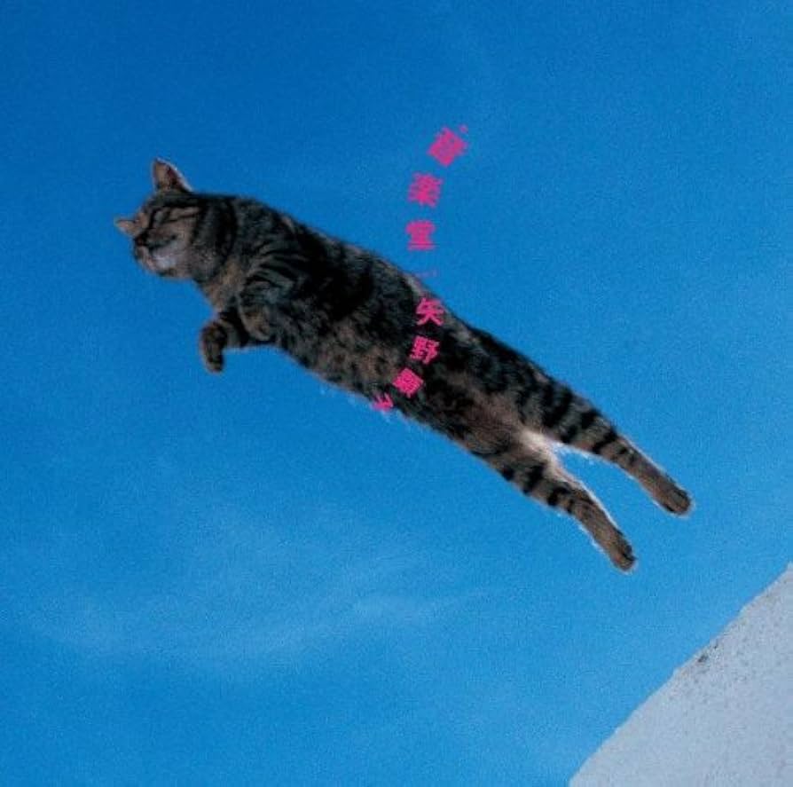 矢野顕子 やのミュージック BOX CD ボーナスCD付き 矢野顕子 やのミュージック BOX CD ボーナスCD付き CD｜hero.org