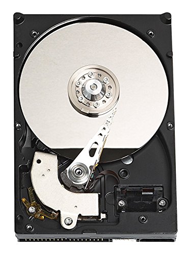 WD Caviar Blue WD5000AAKB - Disque dur - 500 Go - interne - 3.5