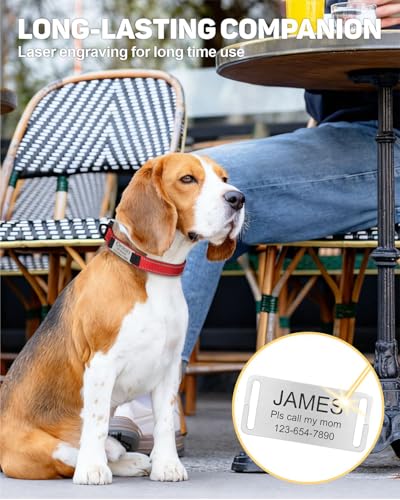 TagME Hundehalsband personalisiert, Reflektierendes gepolstertes Nylon Hundehalsband für mittelgroße Hunde mit Namen und Telefonnummer