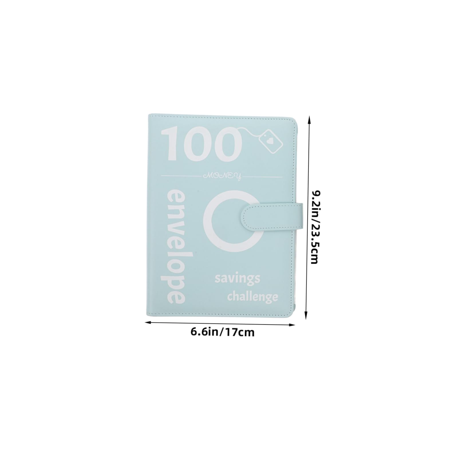 Homoyoyo Carnet d'Économies Enveloppes 100 Pochettes Transparentes Classeur Multifonctionnel pour Budget et d'Épargne Organisateur Pratique pour Couples