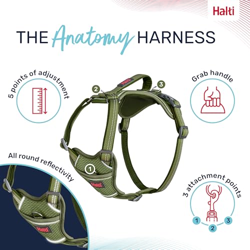 Image of Halti Anatomy Dog Harness with Handle | Size XL, Green | Padded, Adjustable & Reflective No Pull Dog Harness, 3 Leash Attachment Points including Front Clip, Suitable for Large Dogs