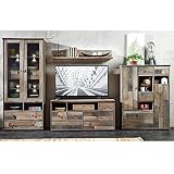 Lomadox Vintage Wohnwand Industrial Design Driftwood Standvitrine mit LED-Beleuchtung, B/H/T ca. 342/188/52 cm