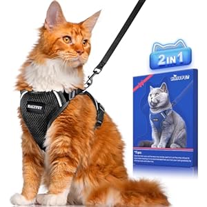 Cat Harness and Leash Set [ MAX Safety Third Generation ] Escape Proof Soft Adjustable Cat Leash Breathable Comfortable Vest Easy to Wear Kitten Harness for Outdoor Walking Black