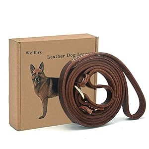   Real-Leather-Slip-Lead-Dog-Leash-Soft-Adjustable-Pet-Slip-Leads-with-Slider-Heavy-Duty-Flat-Dog-Training-Leash-for-Medium-and-Large-Dogs-6ft-Long-by-07-Inch-Wide-Brown