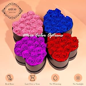 16 Preserved Roses in Heart-Shaped Box, Flowers for Delivery Prime Last up 2 Years, Real Forever Flowers for Wife, Girlfriend, Mother, Eternal Roses for Anniversary - Red 16 Preserved Roses in Heart Shaped Box Flowers for Delivery Prime Last up 2 Years Real Forever Flowers for Wife Girlfriend Mother Eternal Roses for Anniversary Red
