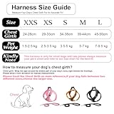 Suredoo Hundegeschirr mit Leine Anti Zug Geschirr Reflektierend Brustgeschirr für Kleine Hunde, Haustiere, Welpen, Katzen (Braun Orange, XS)