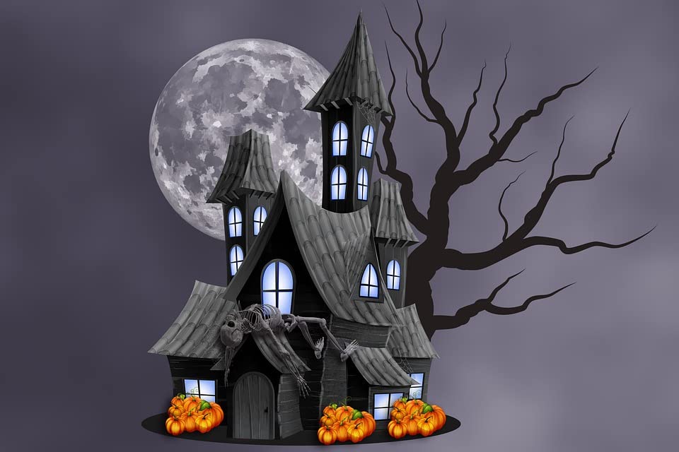 Kit De Peinture Par Numéros Pour Adultes Et Débutants, Peinture Par Numéro Sur Toile à Faire Soi-même, Peinture à L'huile Acrylique, Décoration Murale D'intérieur, 30 X 40 Cm, Sans Cadre