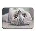 Produktbild heefan Entry Way Door Mat Rug with Non Slip Backing Cute Baby Cat Indoor Doormat for Kitchen,Bath,Pet 16inch*24inch,40cm*60cm