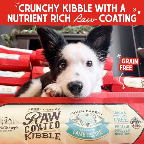 Stella & Chewy's Baked Kibble, Raw Coated Grass-Fed Lamb, 22 lb - image 2