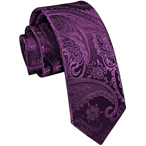 Cravate Enlision Homme Paisley Cover