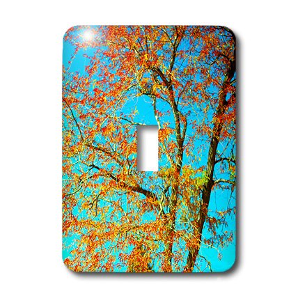 Interrupteur à bascule unique décor nature Arbre d'Automne sous Ciel Bleu pour salon