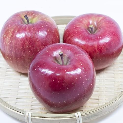 XY Tӂ  4.5kgȏ (5L) 󂠂EƒpbƑ