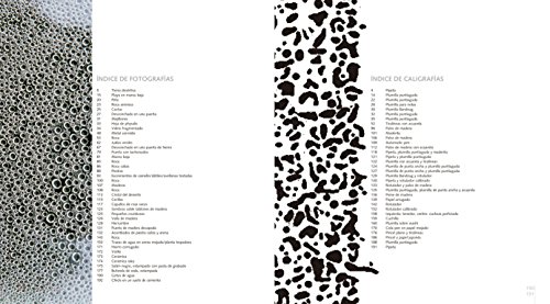 Coffrets de calligraphie expérimentale pour écriture artistique et moderne - 7