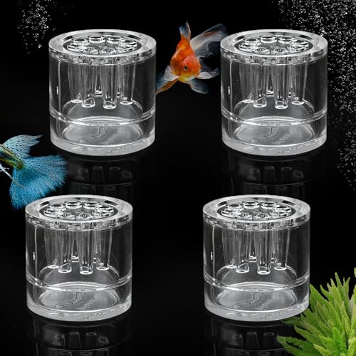 viA Lb`gbv  J^c [` NAKXgbv4pbN lGr/`F[Vvp (8)