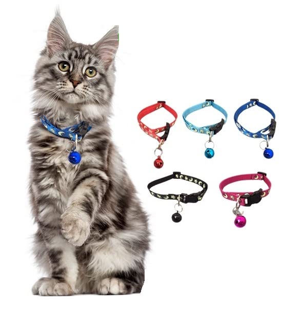 PETS EMPIRE 2 Pcs Cat Puppy Collar Glow in The Dark Pet Collar Anti-Lost & Quick Release Buckle- Color May Vary (B09V1GVVNV) Amazon Price History, Amazon Price Tracker