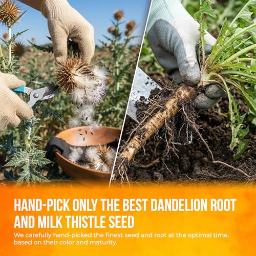 Image of FreshDrinkUS, Premium Dandelion Milk Thistle Herbal Tea | 75 Tea Bags | Herbal Blend with Dandelion Root & Milk Thistle Seed - Clean Plant-Based Daily Tea, Naturally Caffeine Free. Sugar Free. Vegan