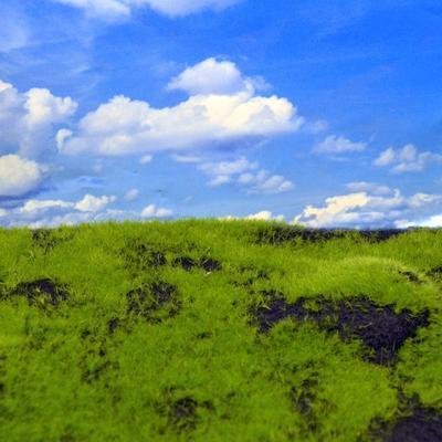 Reality in scale - Grass Mat - Wild grass & Hills Type 4