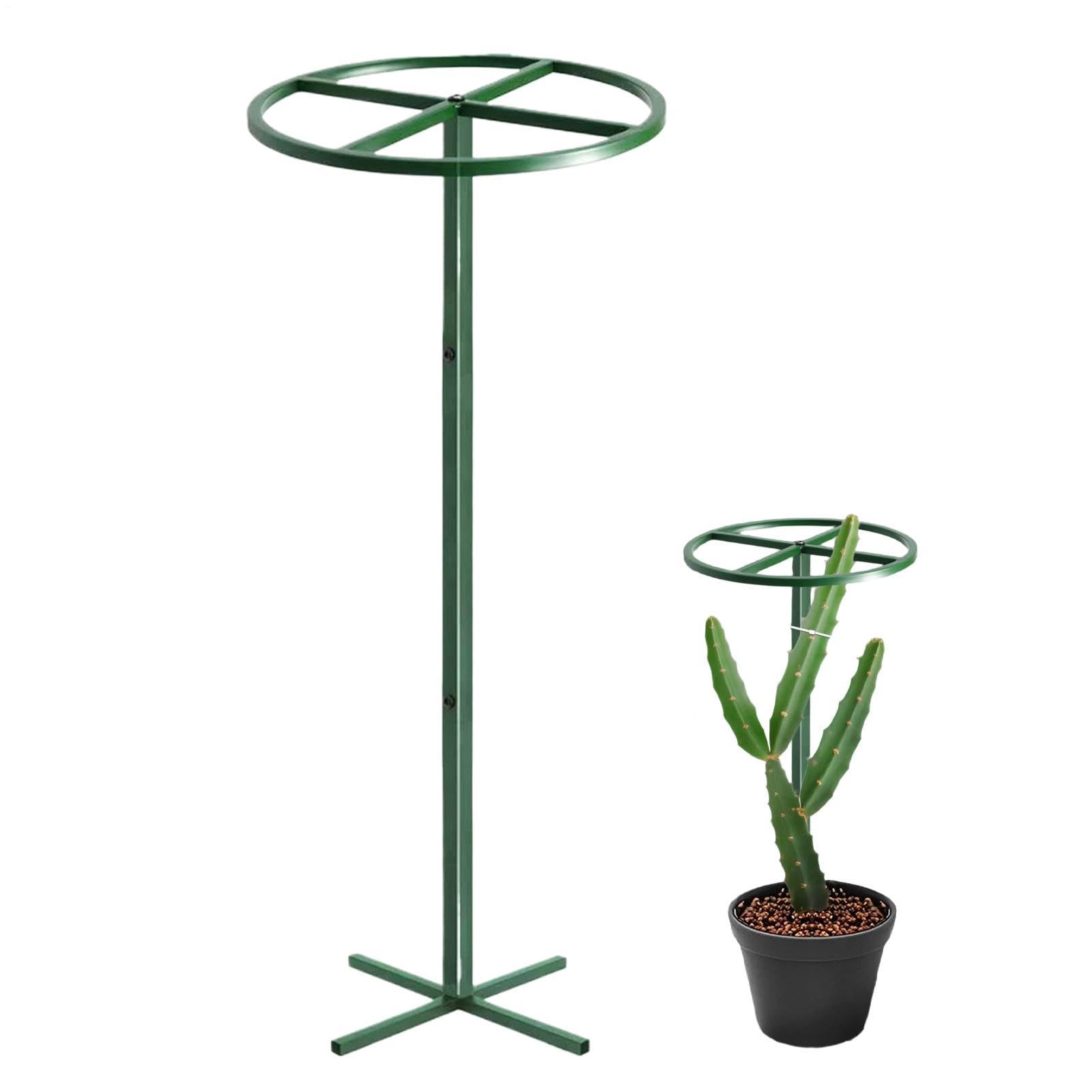 Pilar de escalada botánica, aguja vertical, accesorios de jardín, soporte de plantas de fruta del dragón para plantas de tomate, flores, pepino, vides, macetas, interiores y exteriores, patio