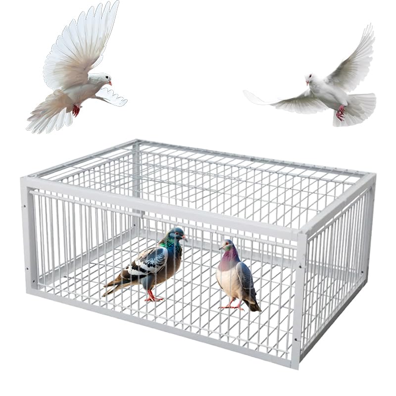 Pigeon Trap Cage with Escape-Proof Design Chicken Trap Bird Cage with One Way Entrance for Sparrows Quails Bird Chick and Duckling (15.75”L x 11.8” W x 10.24” H)