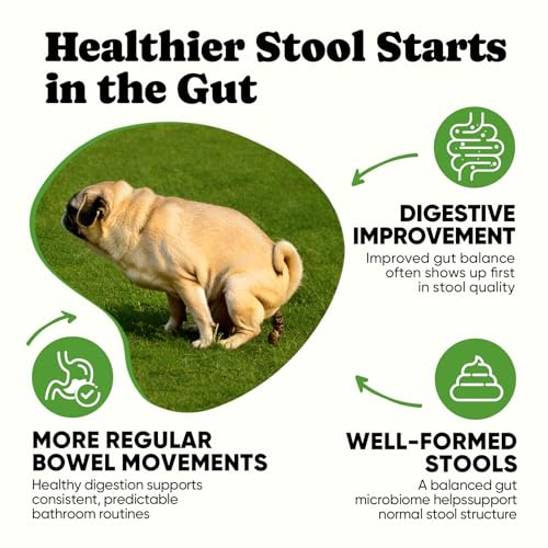 Probiotics for Dogs – Helps Digestion, Loose Stools, Gas & Sensitive Stomachs, Probiotics for Itchy Skin & Dog Yeast Infection, Immune & Fresher Breath with 4 Prebiotics & 5 Digestive Enzymes – 180 ct - Image 4