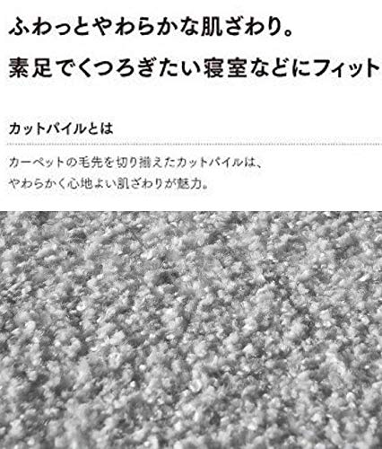 Amazon｜東リ タイルカーペット 50cm×50cm 10枚セット 洗える スクエア