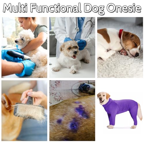 Image of Hamiledyi Dog Onesie Anti-Licking Dog Bodysuit Spay Surgical Recovery Suit for Dogs Pet Cone Alternative After Surgery Dog Shedding Suit for Female Male Neuter Dogs Claming Pajamas (Purple, Medium)